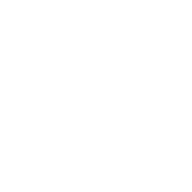 Insights icon